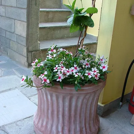 Apartament Efi *