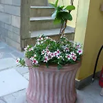 Apartman Efi *